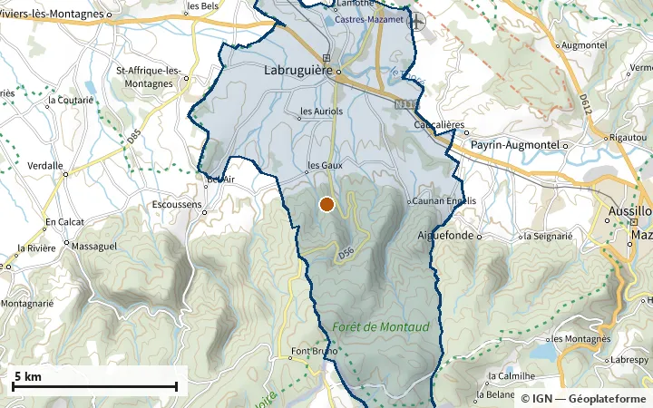 Plan de Labruguière, avec les limites de la zone et son centre
